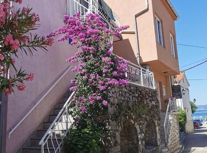 Ribar 2 * نجيفيش